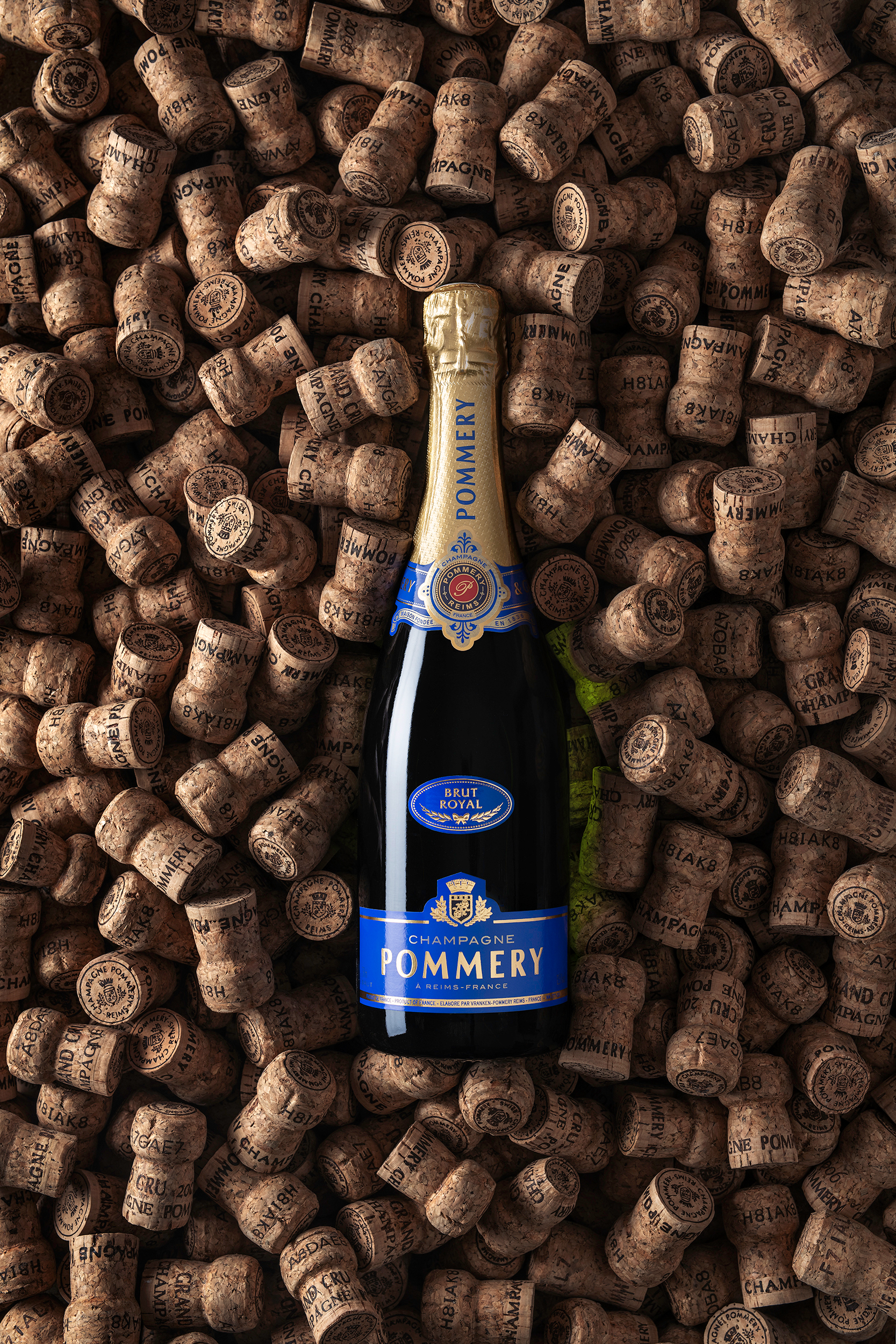 BRUT ROYAL DANS SON HABILLAGE 033